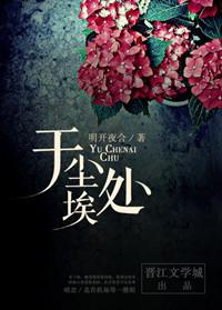 于尘埃处资源