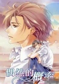 偶然的概率樊落256中文