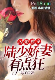 闪婚契约陆少宠妻上天免费
