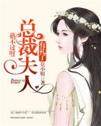 婚不过时总裁夫人有礼了 莫小妞