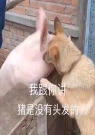 春集山坡