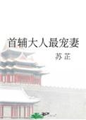 首辅大人最宠妻TXT