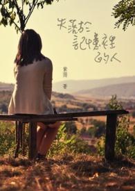 失落的记忆视频解说