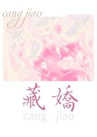 藏娇民国 1v2酸杏
