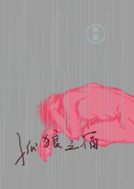 孤寝之狼
