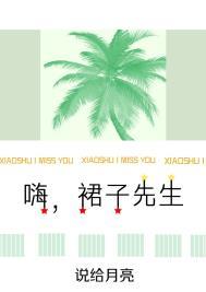 裙子先生在线阅读