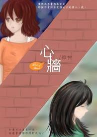 心墙是什么意思
