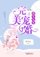 重生九零之完美军婚