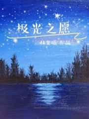 极光之月