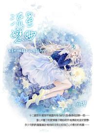 流星歌词
