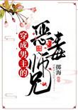 穿成男主的恶毒师兄讲的什么