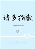 请多指教txt百度