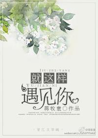 就这样相遇