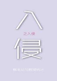 入侵者是什么意思