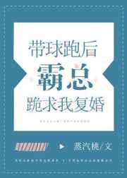带球跑后霸总跪求我复婚在线阅读
