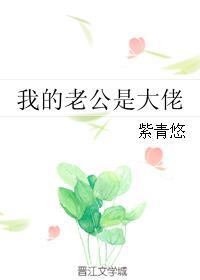 我的老公是大佬在线阅读