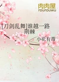 刀剑乱舞瑾月宗近