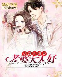 总裁的大老婆免费