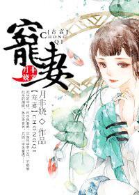 重生之宠妻为荣