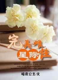 星际之完美契合完结了吗