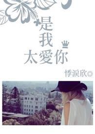 我是太爱你了