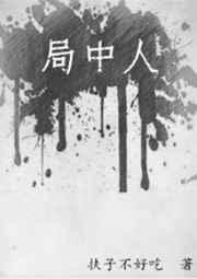 局中人完整