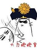 大力嬷嬷掌 作者风享云知道txt