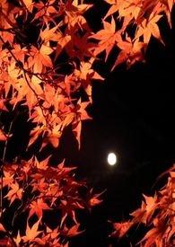 朝秦暮楚的故事