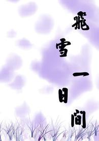 一夜飞雪的诗句