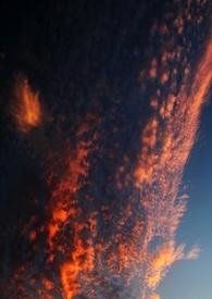 玉石俱焚的人很可怕