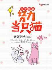今天也要努力当只猫漫画39