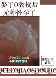 娶了o教授后元帅怀孕了txt