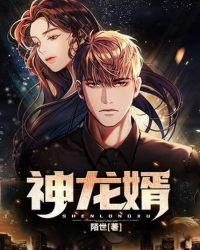 神龙婿君临