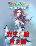双生暗影是什么装备