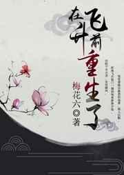 在飞升前重生了作者梅花六