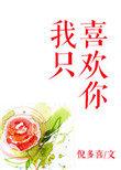我只喜欢你歌词