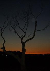 雨中的期待三上悠亚