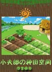 小夫郎的种田空间txt