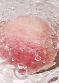 被俘国民党将领名单