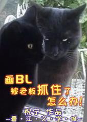 被老板画大饼