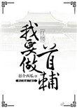 我要做首辅百科
