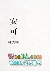 安可计算机是什么意思