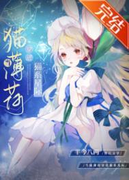星际穿越成猫薄荷