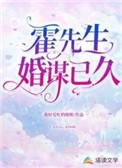 霍先生婚姻无效全本免费阅读
