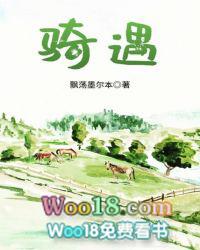 骑遇剧情