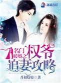 名门暖婚之权爷追妻攻略 百度