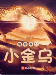 偷偷养只小金乌境界等级
