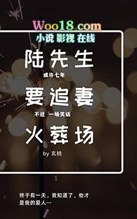 陆先生追妻火葬场许郁魏柒柒片段