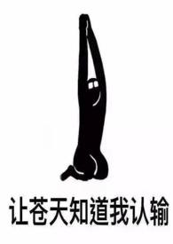 没有女主双男主电视剧