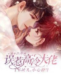 误惹高冷老公宝贝别玩